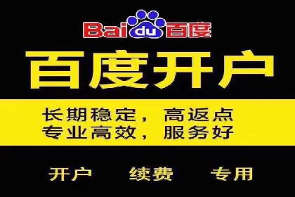 百度推广案例：案例分析及实战操作指南